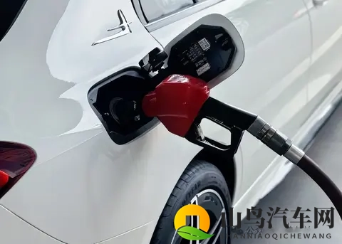 xx欧美：新能源汽车+智能驾驶，欧美汽车市场创新无限-3