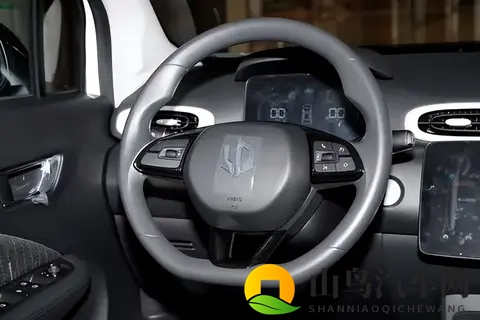 续航403km+快充，这款车凭什么成5万级代步车？-2