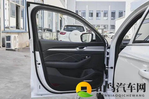 提星瑞半月成焦点！20T+8AT，67 万车主选的国民好车-1