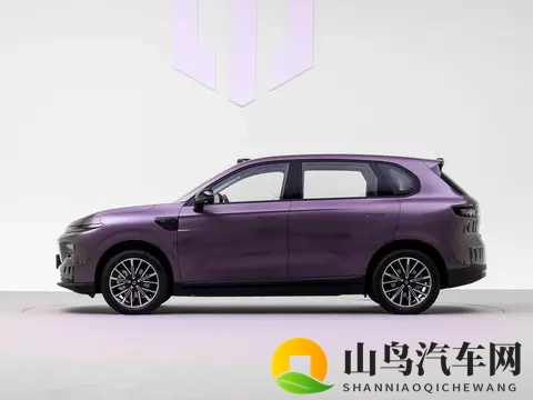 零跑又要有新车了，这次是A系列，或只有纯电版-2