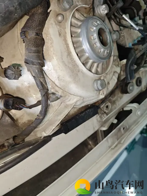 性爱直播：私密直播，激情互动体验-3