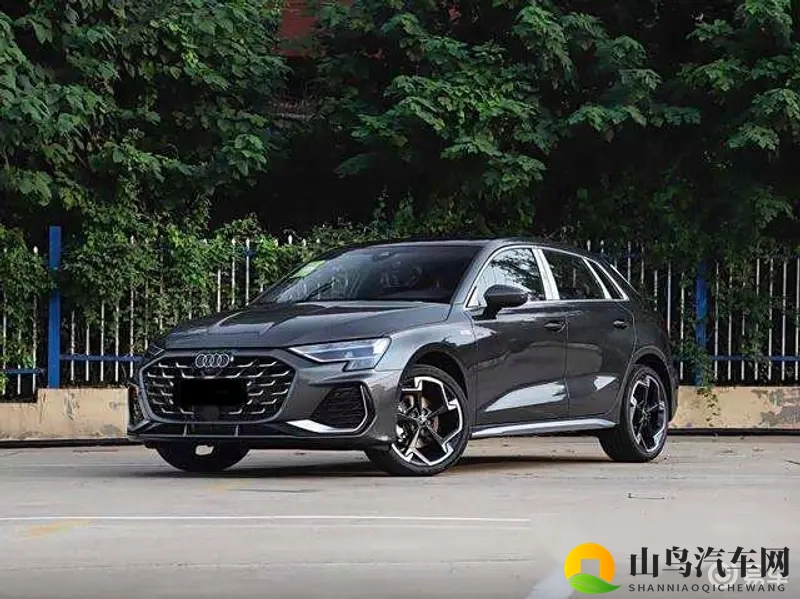 网站明白我意思吗?：智能驾驶兴起，新能源汽车崛起，汽车市场风云变幻-2