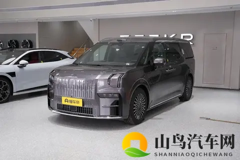 极氪009七座过道版：超五成用户家用，家用MPV选它合适吗？-1