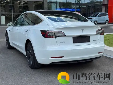 11万多圆梦特斯拉,20款Model3,通勤代步新选择?-2
