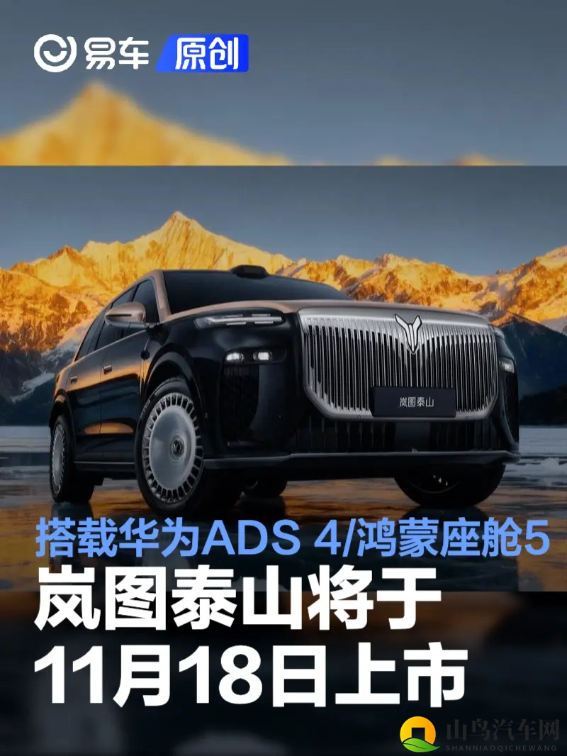 欧美浓毛大泬：欧美浓密毛发独特风貌-2