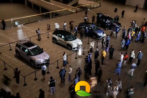 月销量不足万,现代的中国困局靠换人能解决?-2