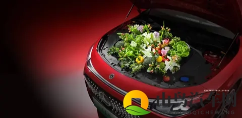 日本护士-日本护士va2-日本：智能护理系统革新医疗，前景广阔引关注-1