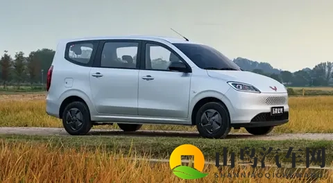 【E汽车】五菱宏光新款家族上市-2