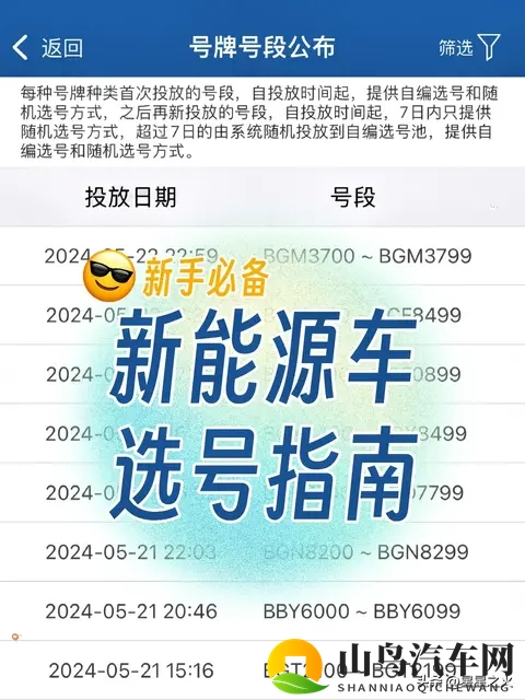 特斯拉新车主选号指南 🈯️ 新手必备-1