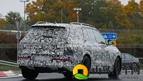 奥迪Q9霍希版要来了，大家却摸不着头脑-3