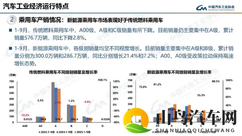 国产AV性爱：本土影片，情感交织，生活片段-2