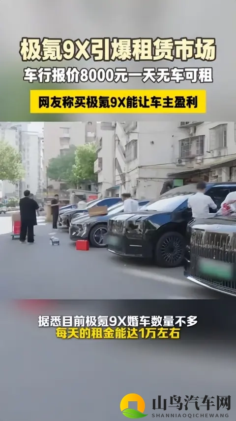极氪9X引发抢购热潮！国内早期订单溢价超2万,海外未上市加价求购-3