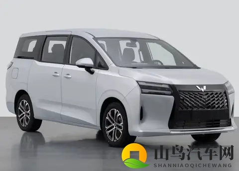 家用MPV买什么好？20多项实测，这款768万起的新车能打几分-1
