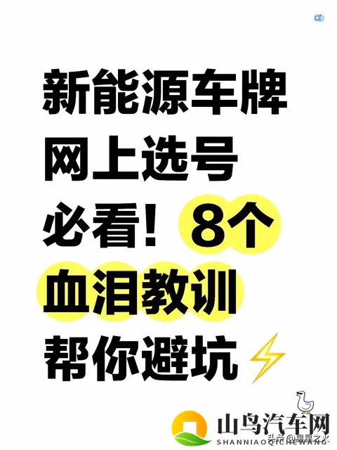 新能源网上选号必看！8个血泪教训帮你避坑-1