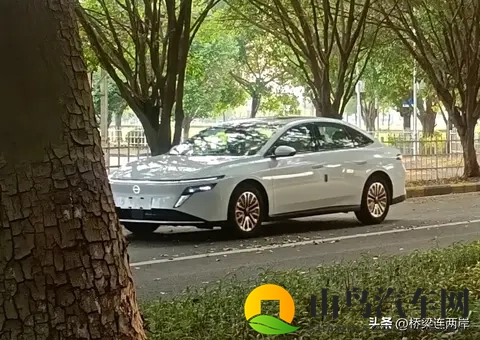 中国体育生男自慰：青春活力少年，自我探索时光-2