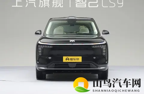 智己LS9登场,能抢到高端SUV市场的蛋糕吗-2