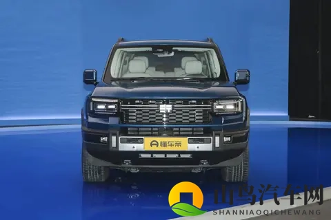 3929万，配360全景+5个毫米波雷达，这台纵横G700如何？-3