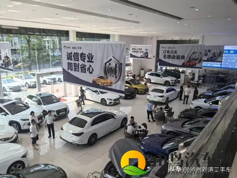 新能源购置税减半落地，泸州车友该如何把握？-2