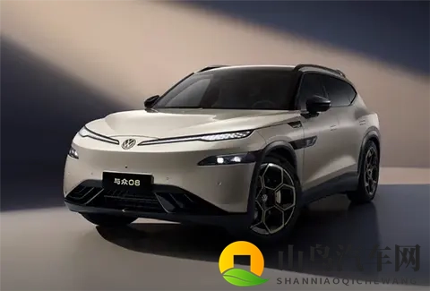 5米车长+800V快充,安徽大众“与众08”申报信息曝光-1