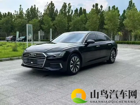 20多万拿下奥迪A6L，宜商宜家，行政座驾也能很亲民！-2