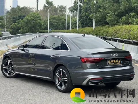 wwwxxx日本：东方智慧重塑电动车产业格局-3