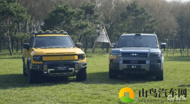 csgo暴躁老阿姨高清年龄：《CSGO狂热大妈高清写真，揭秘真实年龄之谜》-1