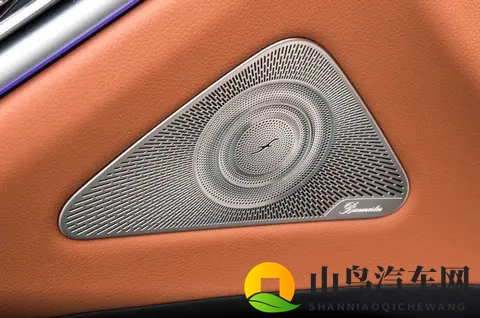 这才是梅赛德斯的味道！奔驰S级选买指南-2