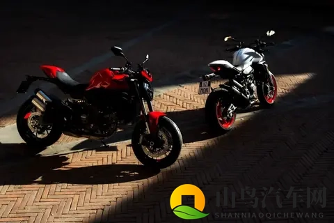 杜卡迪发布第五代怪兽!-3