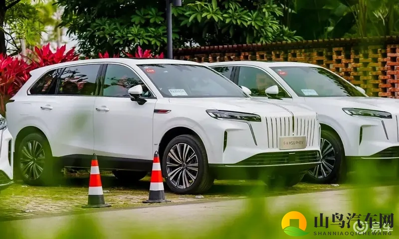 大五座，真豪华！居然不到18万，这台中大型SUV太值了！-1