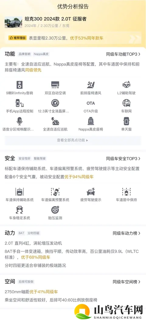 准新坦克300：20T征服者，黑色硬汉风，圆你越野梦-1