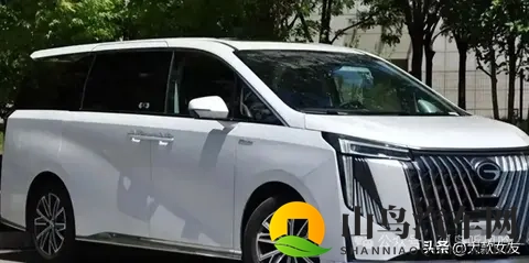 国产埃尔法新款来了,252马力仅10来万起,你想要的,它全都有-1