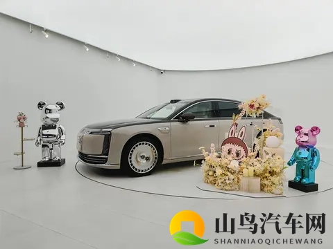 厦门尊享会:尊界s800护底板升级-1