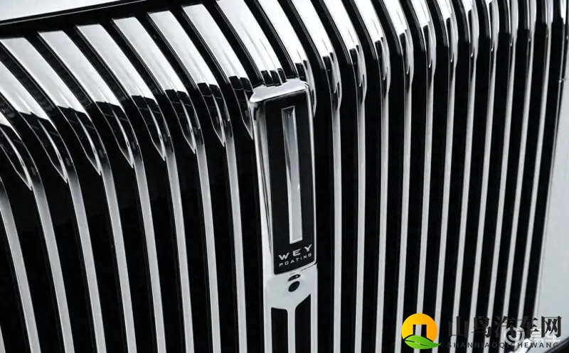 魏牌高山7上市，仅比预售价便宜4千块，还值得买吗？-1