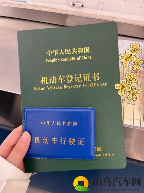 11月起上牌不用求黄牛!公安部新政让上牌躺平-1