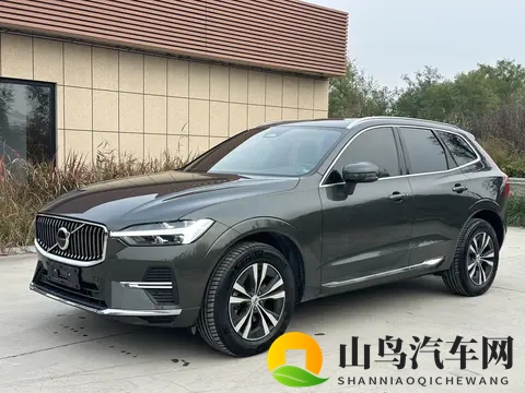 美女被c软件：美女遭遇不明软件陷阱-2