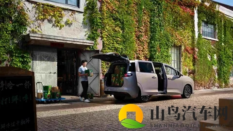 菜农拉货，宝妈带娃，年轻人创业，五菱MPV装下了800万人的生活-3