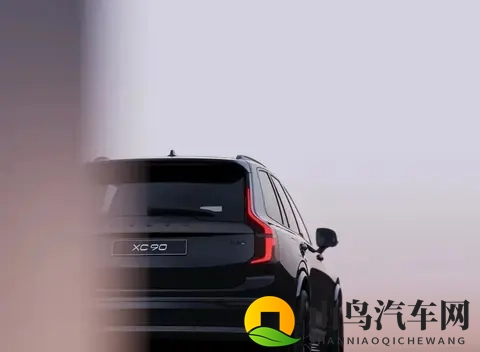 沃尔沃XC90暗夜版：拒绝“登”味-3