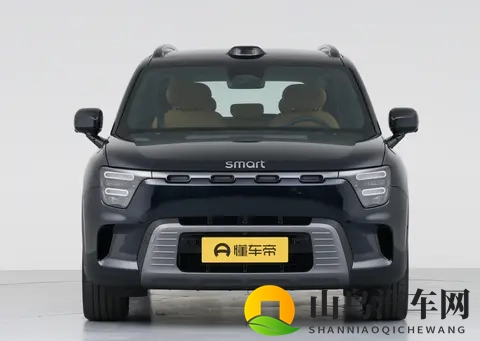 smart精灵＃5，豪华又省油，家用很不错-1