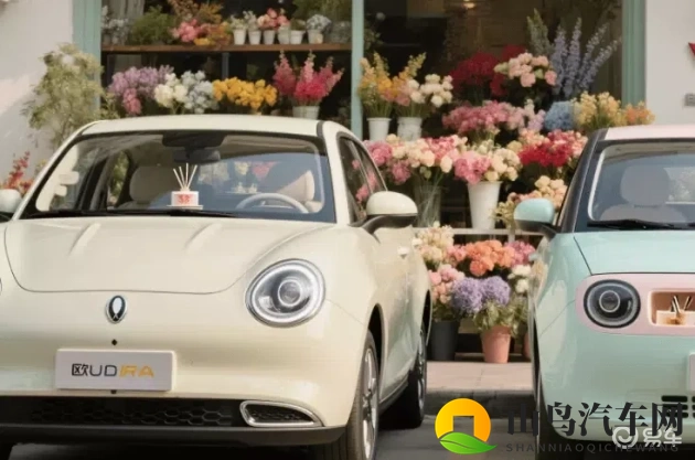 女生选电车：欧拉好猫VS五菱缤果，颜值续航比-1