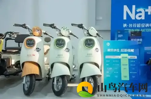 第1批换钠电池的车主，电动车怎么样了？行内人：这3类人没必要换-2