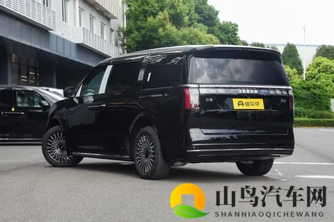 极氪 009 双 11 限时惠，多座豪华，承包家人舒心出行-2