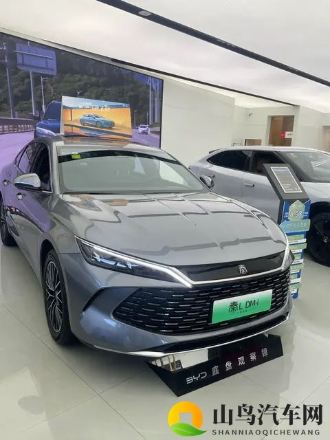 年度销量TOP10出炉，7款新能源霸榜，燃油车仅剩3席，时代真的变-1