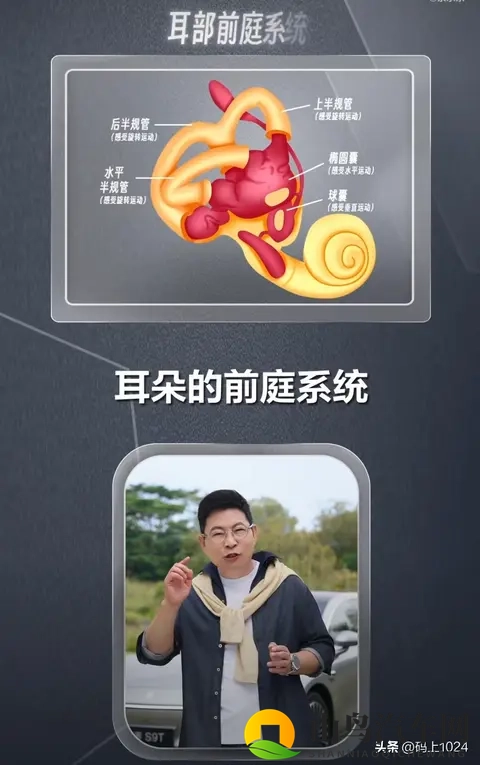 余承东揭秘晕车根源：不是体质弱，而是大脑的误判保护-2