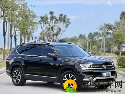 国产又爽 又黄:国产新势力汽车:爽快性能,性价比高-3