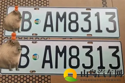 新能源绿牌用“UV灯”照射后能变白牌 网友：帅 但蜀黍不认-1