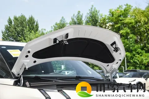 40 万级 MPV 怎么选？极氪 009 从产品到政策全解析，宜商宜家很实在-3