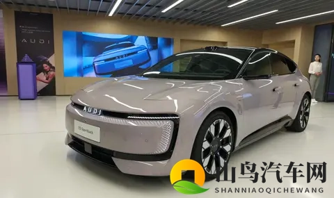 3P经历：汽车新境界：驾驶体验革新揭秘-3