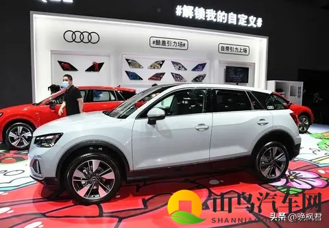 低价奥迪标下套大众底盘，十二万能提SUV，年轻人上车后咋纠结-1