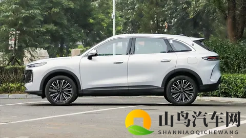 全新第五代瑞虎8正式上市，售价不到10万，超巨性价比。-2