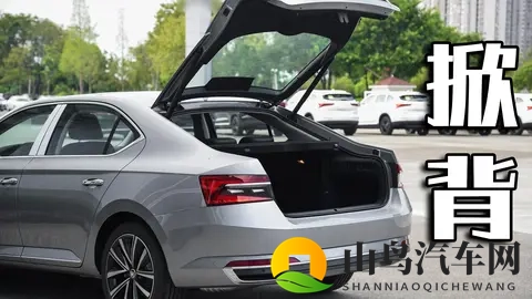 第213期:到底是谁在买斯柯达速派?-1